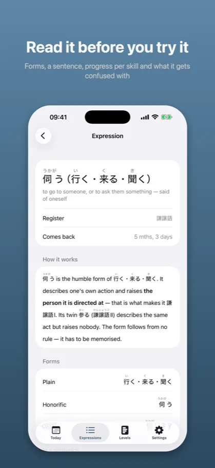 Read it before you try it Forms, a sentence, progress per skill and what it gets confused with