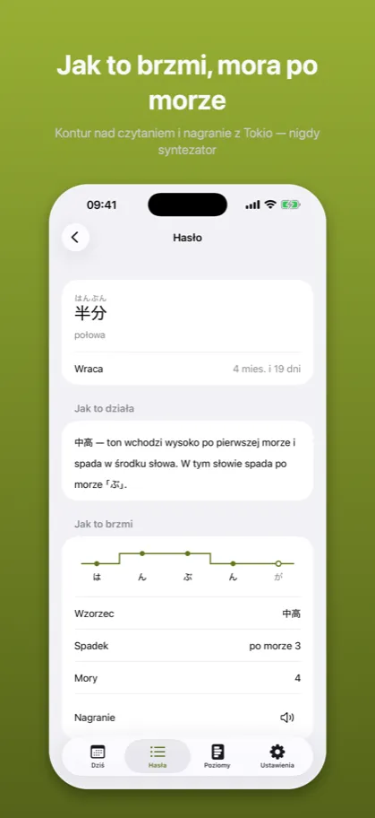Jak to brzmi, mora po morze Kontur nad czytaniem i nagranie z Tokio — nigdy syntezator